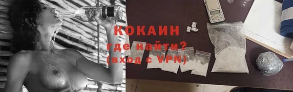трава Наволоки
