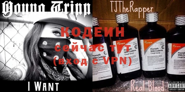 трава Наволоки